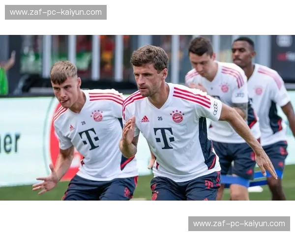 绿野争锋：当狼堡迎战南部之星，德甲的激情永不落幕